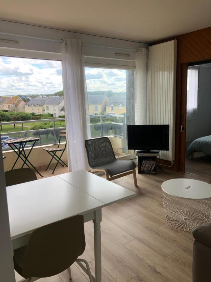 Bleu Sale - F2 Avec Balcon