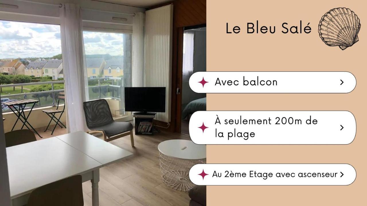Bleu Sale - F2 Avec Balcon *
